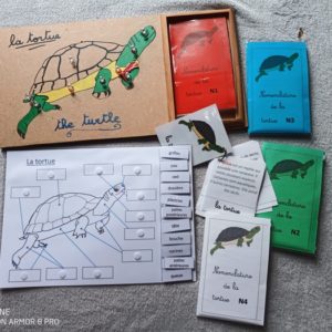 puzzle nomenclature tortue