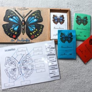 puzzle nomenclature papillon